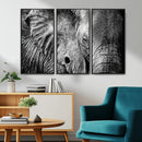 Wild Old Elephant Wall Art Canvas Print