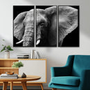 Big Elephant Close Up Wall Art Canvas Print