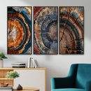 Tree Ring Triptych Canvas Wall Art — Set of 3 Wood Grain by MyGreatCanvas | Canvas Wall Art Prints | Photo Prints & Wall Decor