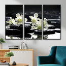 Plumeria Frangipani Black Stone Canvas | White Flower Spa by MyGreatCanvas | Canvas Wall Art Prints | Photo Prints & Wall Decor