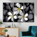 Plumeria Frangipani Black Stone Canvas | White Flower Spa by MyGreatCanvas | Canvas Wall Art Prints | Photo Prints & Wall Decor