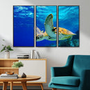 Sea Turtle Wall Art Canvas Print, Sea life in the Ocean Wall