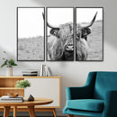 Newfoundland Cow Art Wall Art, Black White Cow Art Wall Art