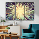Tree and Sunshine Canvas Print