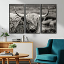 Cow Focus Canvas Wall Art Print by MyGreatCanvas | Canvas Wall Art Prints | Photo Prints & Wall Decor