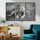 King Forest Lion Wall Art Canvas Print – Framed Majestic by MyGreatCanvas | Canvas Wall Art Prints | Photo Prints & Wall Decor