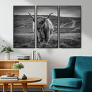 Fluffy Cattle Wall Art Print, Highland Cow Canvas, Framed by MyGreatCanvas | Canvas Wall Art Prints | Photo Prints & Wall Decor