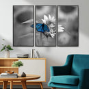 Blue Butterfly Black and White Canvas Wall Art by MyGreatCanvas | Canvas Wall Art Prints | Photo Prints & Wall Decor