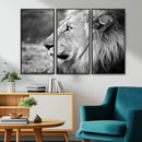 Lion Wall Art Canvas Print – Framed Majestic Wildlife by MyGreatCanvas | Canvas Wall Art Prints | Photo Prints & Wall Decor