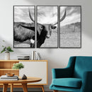 Cattle Wall Art Longhorn Cow Canvas Print