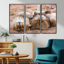 Lion Pair Wall Art Canvas Print – Framed Wildlife Scene with