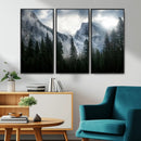 Wall Art Foggy Forest Landscape Canvas Print