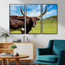 Longhorn and Cow Wall Art, Country Cow Wall Decor Canvas by MyGreatCanvas | Canvas Wall Art Prints | Photo Prints & Wall Decor