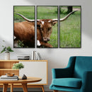 Longhorn Cow Animal Wall Art Canvas Print by MyGreatCanvas | Canvas Wall Art Prints | Photo Prints & Wall Decor