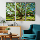 Majestic Oak Tree Wall Art – Serene Nature Canvas Print with