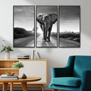 Black and White Elephant Wall Art Canvas Print