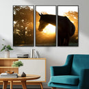 Horse at Sunset Wall Art Animal Canvas Print