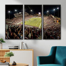 Washington-Grizzly Stadium Canvas Wall Art – Exciting Game