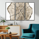 Abstract Wood Tree Ring Wall Art - Ready to Hang Minimalist