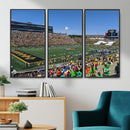 University of Missouri Tigers Football Team Print - Columbia