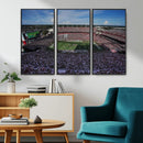 South Carolina Gamecocks Football Team Print - Columbia