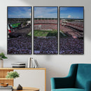 South Carolina Gamecocks Football Team Print - Columbia