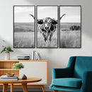 Texas Cow Longhorn Wall Art Canvas Print for Farm House Wall
