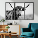 Texas Highland Cow Longhorn Canvas Print - Rustic Farmhouse by MyGreatCanvas | Canvas Wall Art Prints | Photo Prints & Wall Decor