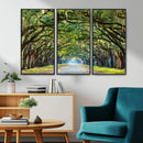 Wormsloe State Plantation Driveway Wall Art Canvas Print by MyGreatCanvas | Canvas Wall Art Prints | Photo Prints & Wall Decor