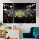 Eagles Field Stadium Wall Art - Philadelphia Eagles Football