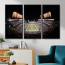 Eagles Field Stadium Wall Art - Lincoln Financial Field