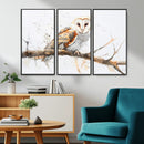 Barn Owl Wall Art on Branch | Stunning Canvas Print for