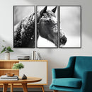 Horse Canvas Print - Winter Horse Snow Wall Art Canvas Print