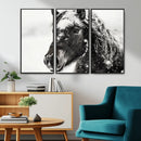 Framed Black and White Horse Wall Art | Ready to Hang and by MyGreatCanvas | Canvas Wall Art Prints | Photo Prints & Wall Decor