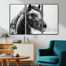 Winter Horse Canvas Print | Large 3-Panel Black White Equine by MyGreatCanvas | Canvas Wall Art Prints | Photo Prints & Wall Decor