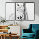 Majestic White Horse Wall Art | Ready to Hang and Framed |