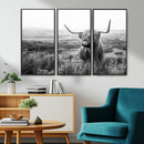 Scottish Highland Cow Wall Art | Black and White Canvas