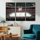 Honda Center California Anaheim Ducks Ice Hockey Stadium