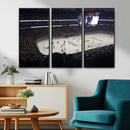 Honda Center California Anaheim Ducks Hockey Stadium Wall