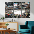 Xcel Energy Center St Paul Minnesota Wild Ice Hockey Stadium