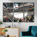Xcel Energy Center St Paul Minnesota Wild Ice Hockey Stadium
