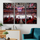 Carolina Hurricanes Ice Hockey Stadium Wall Art, Carolina