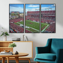 Florida Tampa Raymond James Stadium Wall Art Canvas Print -