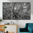 Majestic Angel Oak Tree Black and White Canvas Print – Multi by MyGreatCanvas | Canvas Wall Art Prints | Photo Prints & Wall Decor