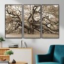 Sepia Framed Angel Oak Tree Wall Art - 3-Panel Canvas