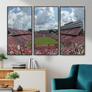 NC State Wolfpack Football Team Print Canvas- Raleigh
