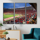 Wisconsin Badgers Football Team Print - Madison Camp Randall
