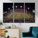 Demon Deacons Print Canvas, Football Team Print -