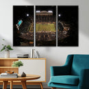 Wake Forest University Demon Deacons Canvas Printi, Football