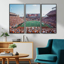 Framed Texas Memorial Stadium Canvas, University of Texas